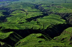 踐行綠色金融 新能源租賃助實體經(jīng)濟提質(zhì)增效